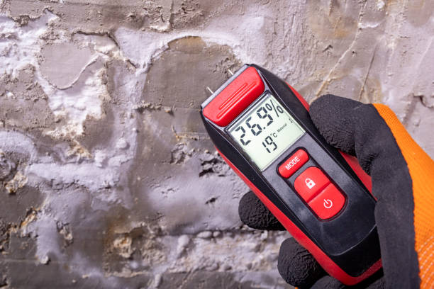 Best Bathroom Mold Remediation in Robertsde, AL
