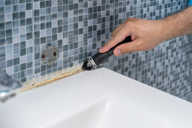 Best Mold Remediation for Specific Building Types in Robertsde, AL